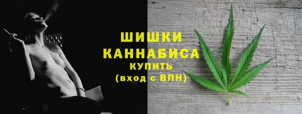 скорость Вяземский