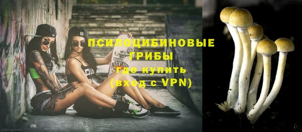 стаф Володарск