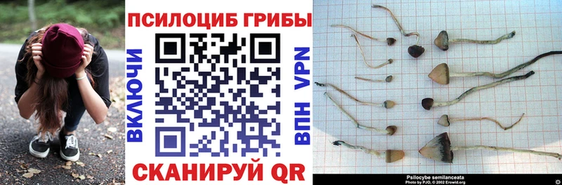 Псилоцибиновые грибы прущие грибы  Джанкой 
